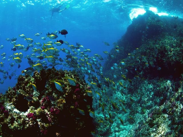 Byron Bay Dive Centre